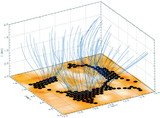 Image in this article
