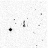 Image in this article