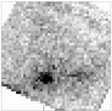 Image in this article