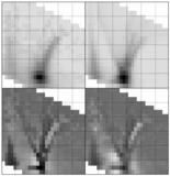 Image in this article