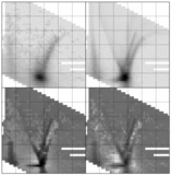 Image in this article