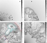 Image in this article