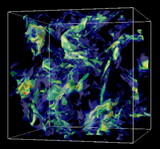 Image in this article