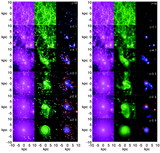 Image in this article