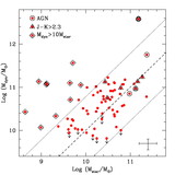 Image in this article