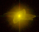 Image in this article