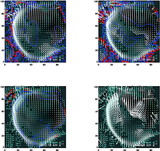 Image in this article