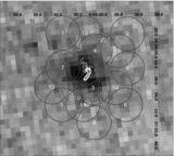 Image in this article