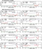 Image in this article