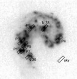 Image in this article