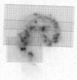 Image in this article