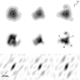 Image in this article