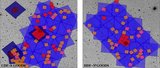 Image in this article
