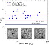 Image in this article