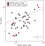 Image in this article