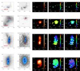 Image in this article