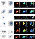 Image in this article