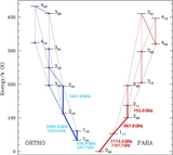 Image in this article