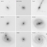 Image in this article