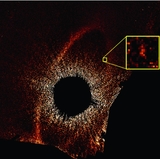 Image in this article