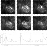Image in this article