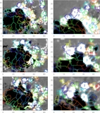 Image in this article