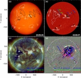 Image in this article