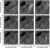 Image in this article