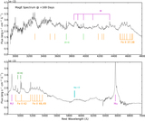 Image in this article