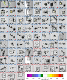 Image in this article
