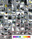 Image in this article