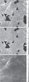 Image in this article