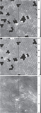 Image in this article