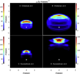 Image in this article