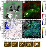 Image in this article