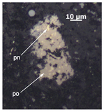 Image in this article