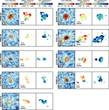 Image in this article