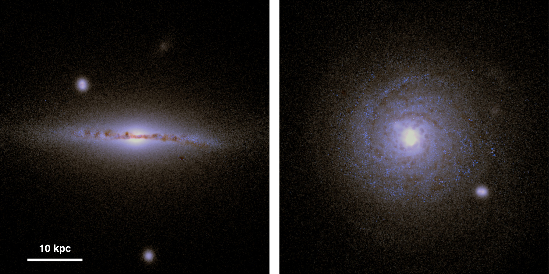 Figure 1 from
