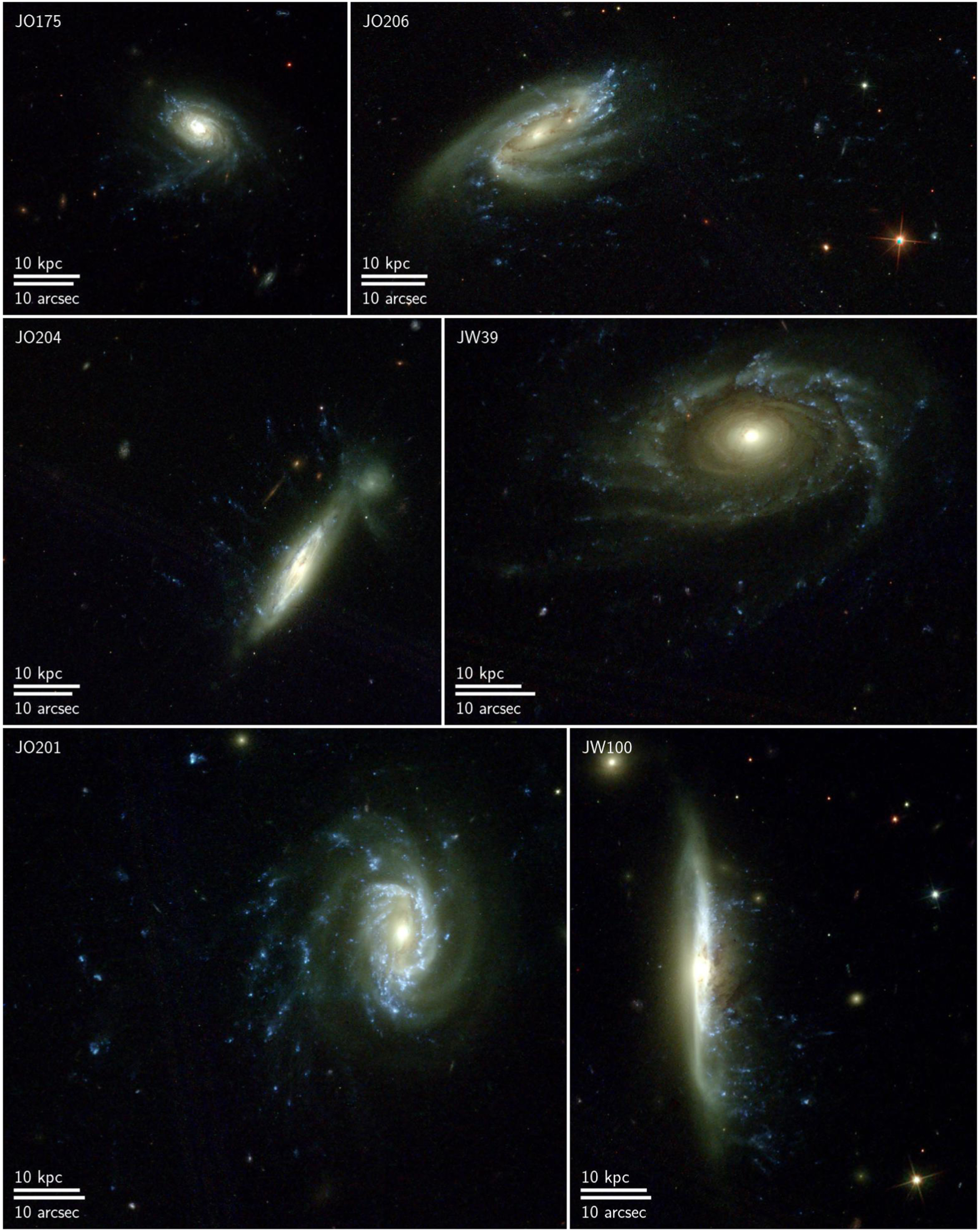 Figure 1 from