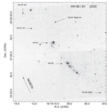 Image in this article