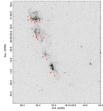 Image in this article