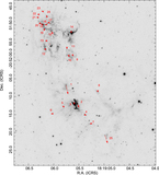 Image in this article