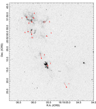 Image in this article