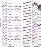 Image in this article