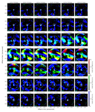 Image in this article