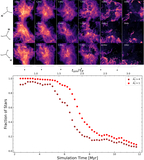 Image in this article