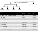 Image in this article