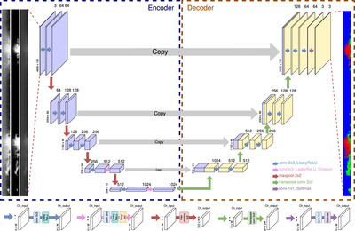 Figure 3 from