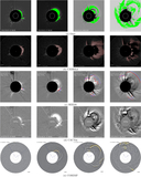 Image in this article