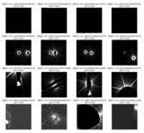 Image in this article